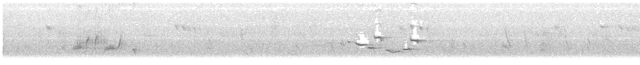 hvitbrystfulvetta - ML513458521