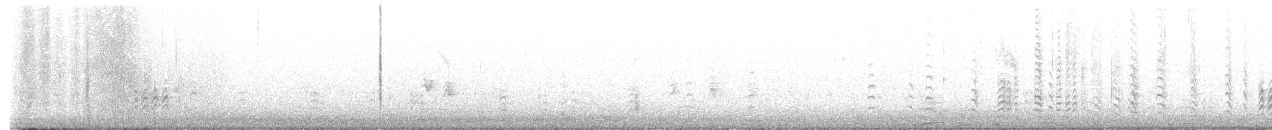 Sittelle à poitrine blanche (groupe lagunae) - ML513462111