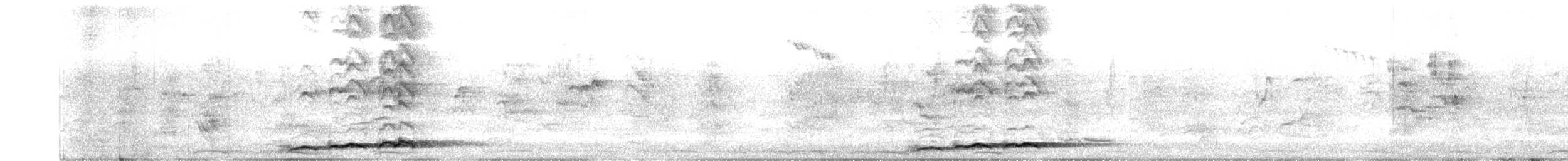 Pazifikkoel (cyanocephalus/subcyanocephalus) - ML513473571