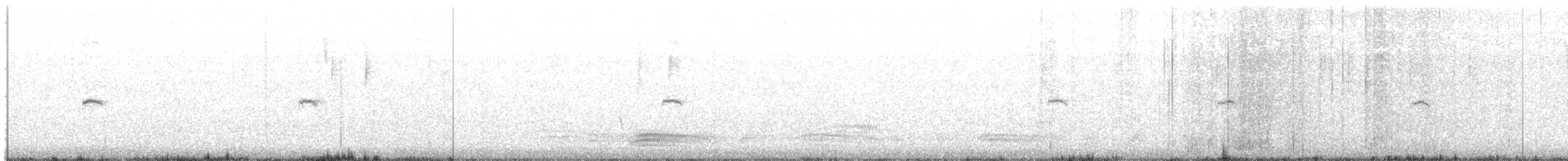 gransanger (tristis) (sibirgransanger) - ML513514401