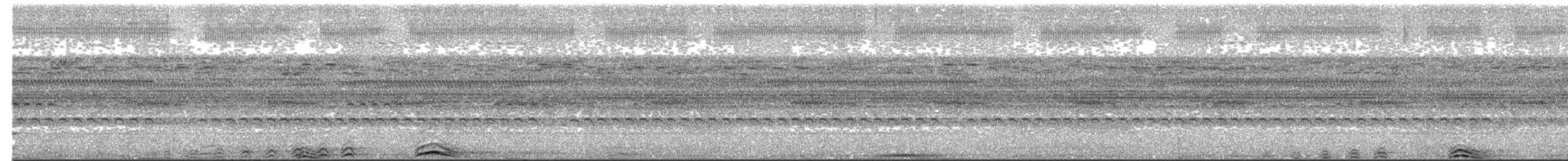 Сова-лісовик смугаста - ML513543441