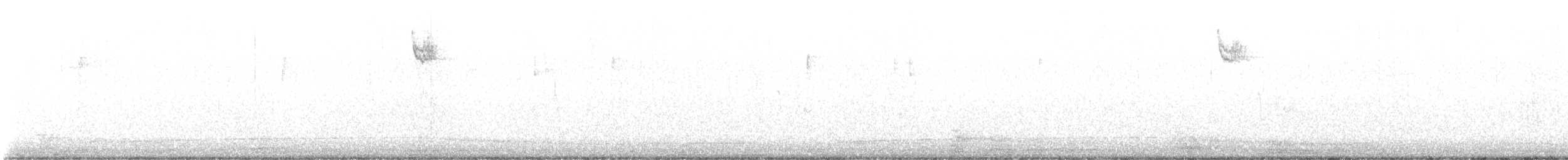 גיבתונית לבנת-גרון - ML513590061