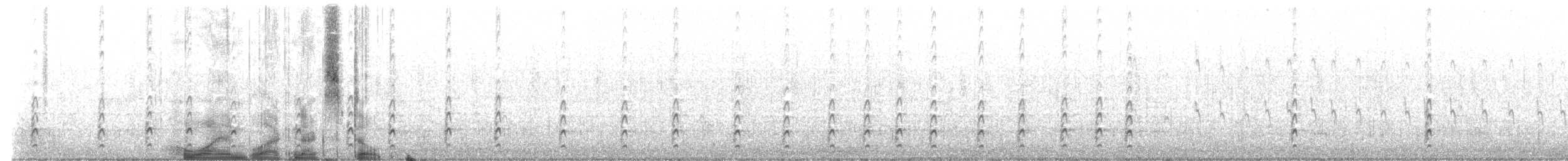 svartkronestylteløper (knudseni) - ML513612011