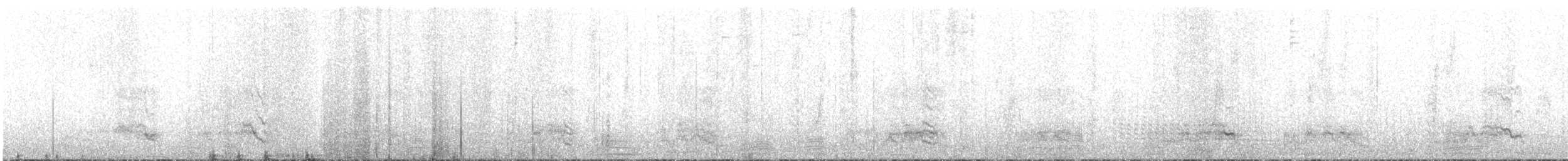 Антарктический баклан - ML513615671
