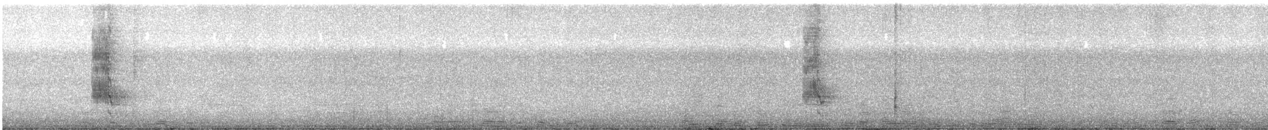 Kara Yakalı Balkuşu - ML513653961