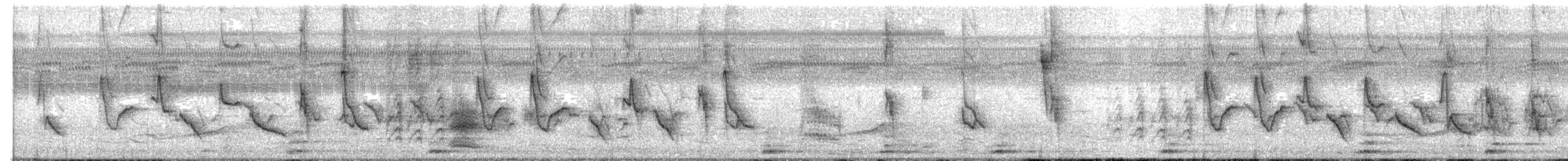 Рисоїд нікарагуанський - ML513666951