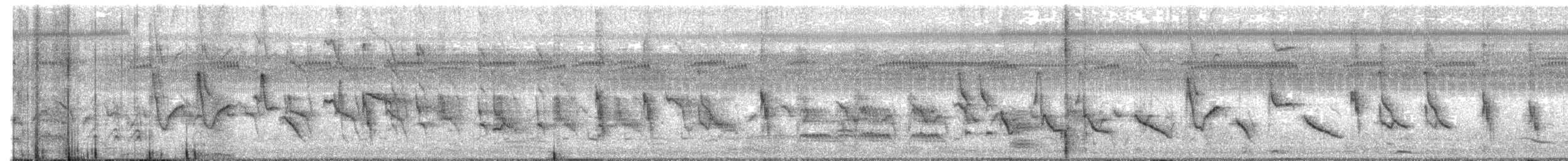 Рисоїд нікарагуанський - ML513666961