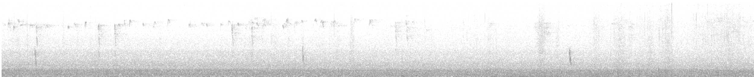 Дрізд-короткодзьоб плямистоволий - ML513705021