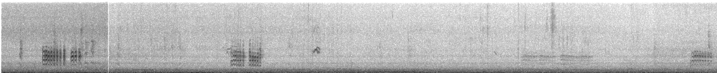 Weißbrustkleiber - ML513735871