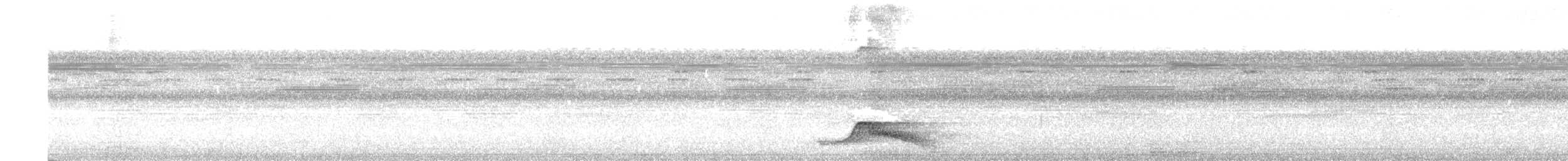 Pauraquenachtschwalbe - ML513741521
