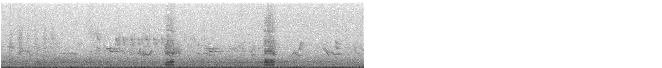 Double-crested Cormorant - ML513748941