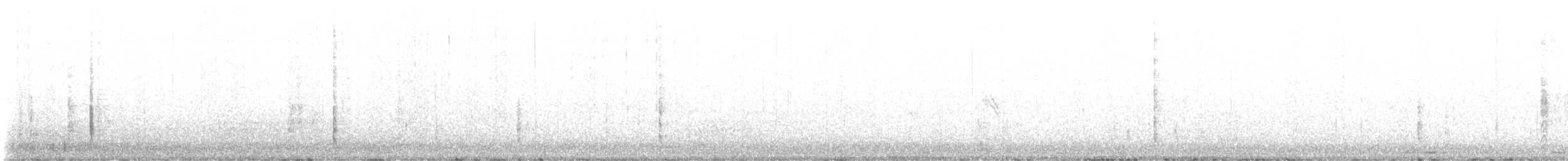 Brewer's Blackbird - ML513753111