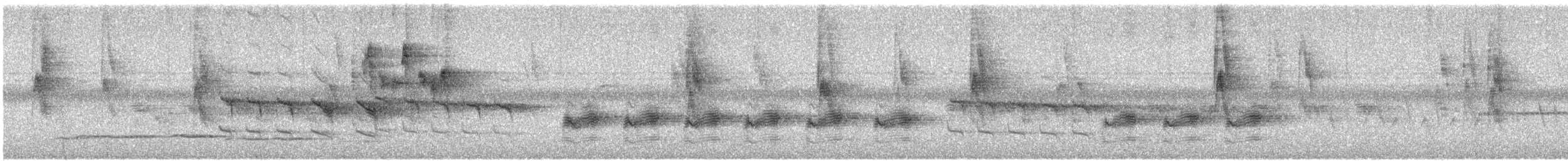 Stuhlmann-Nektarvogel - ML513757381