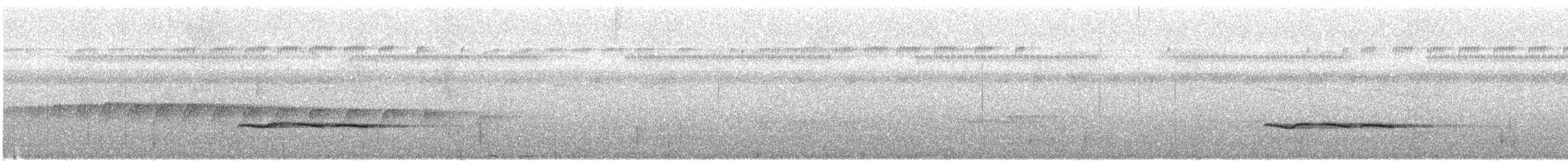 Troglodyte à poitrine blanche - ML513771181