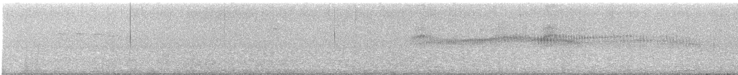 カタジロアマツバメ - ML513871561