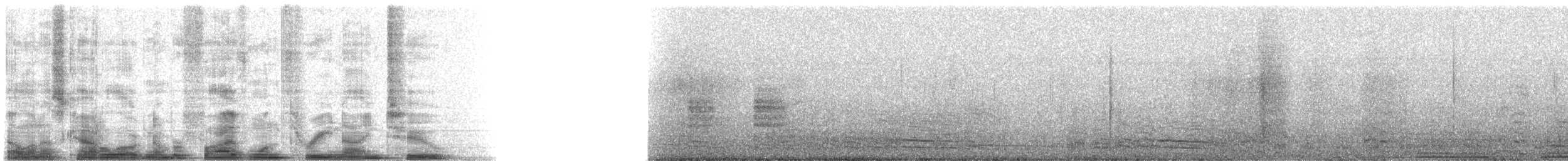 Océanite de Wilson (oceanicus/exasperatus) - ML51392