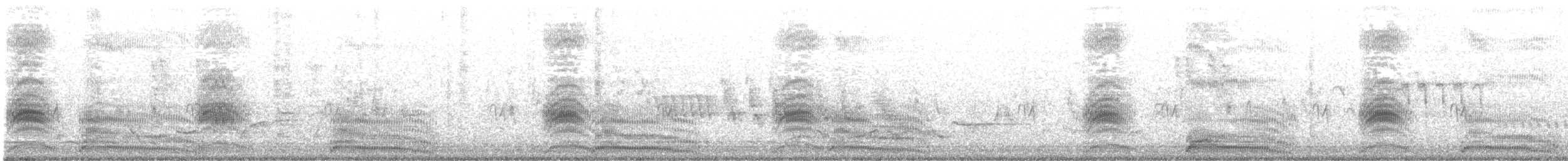 Mouette argentée (scopulinus) - ML513927801