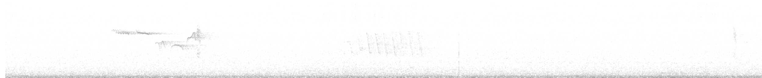 Brown Creeper - ML513952811