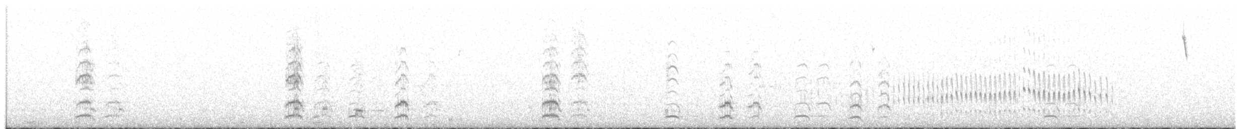 langnebbmarkløper (jelskii/saturata) (blekbrystmarkløper) - ML513975261