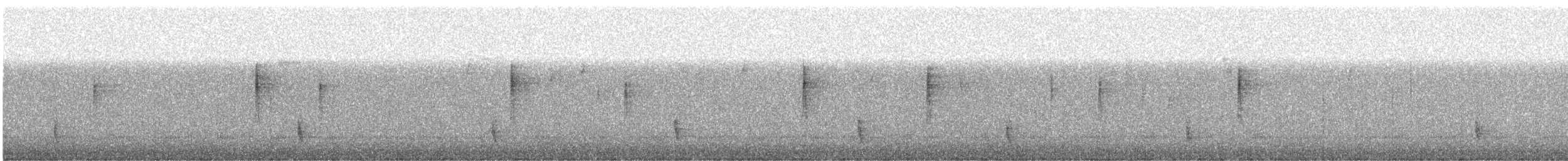 Hermit Thrush (faxoni/crymophilus) - ML514002091
