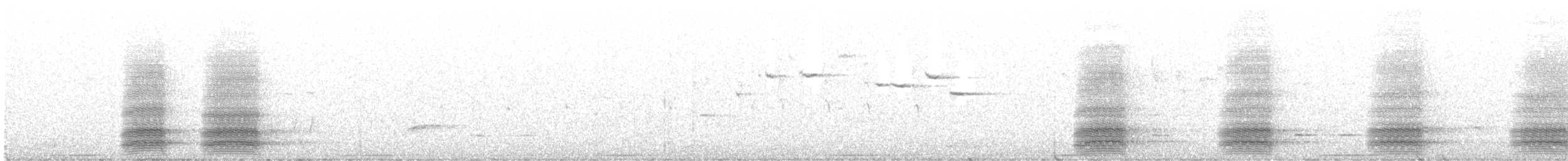 Corbeau de Tasmanie - ML514017931