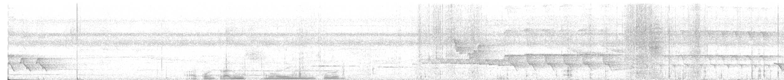 Graubrust-Ameisendrossel - ML514039601