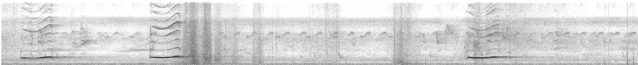 Тихоокеанский коэль (cyanocephalus/subcyanocephalus) - ML514047041