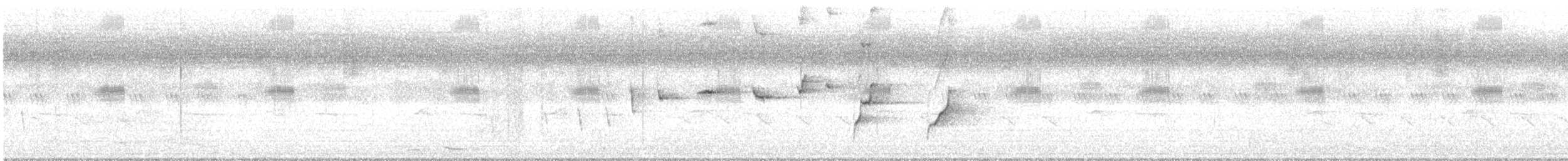 Ошейниковая веерохвостка - ML514047471
