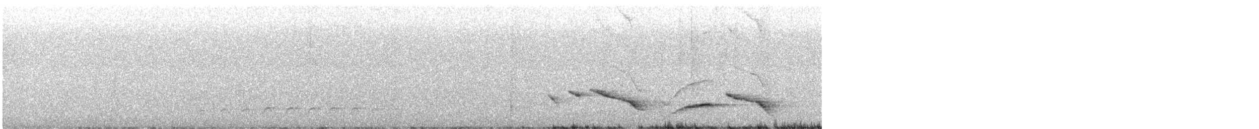 Nava's Wren - ML514051971