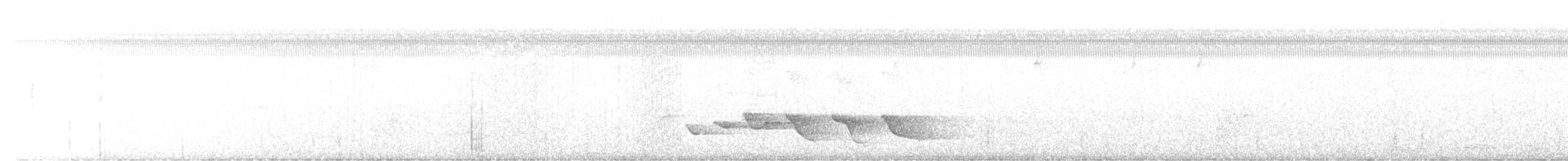 Тонкоклювый крапивник - ML514053071