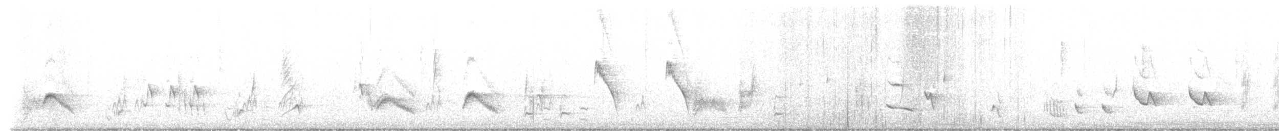 Cuitlacoche Ocelado - ML514056061