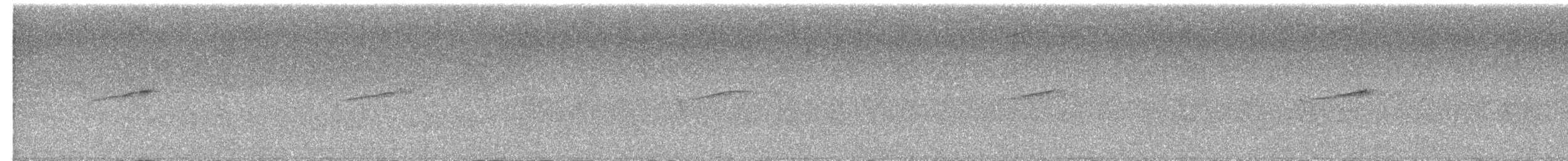 Горихвістка водяна - ML514101611