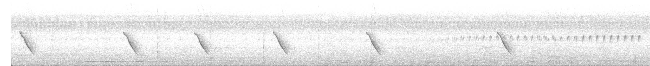 langhaleskredderfugl - ML514135151