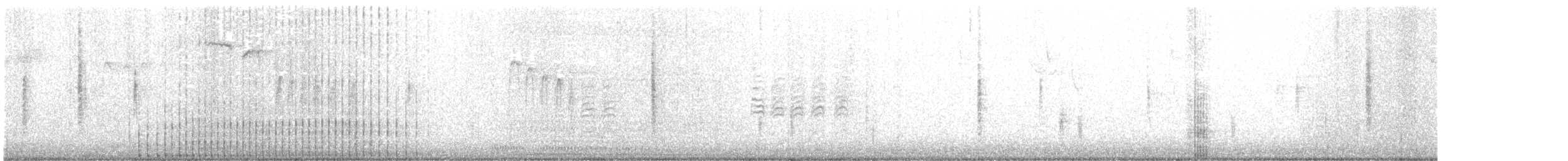 Cygne tuberculé - ML514142681