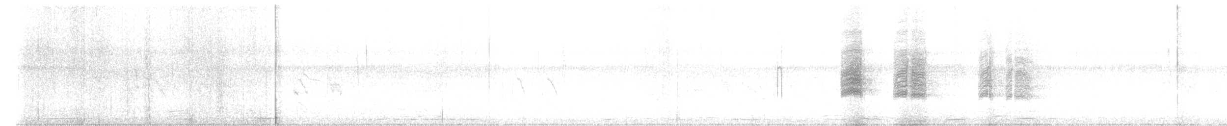 halsbåndfrankolin - ML514154761