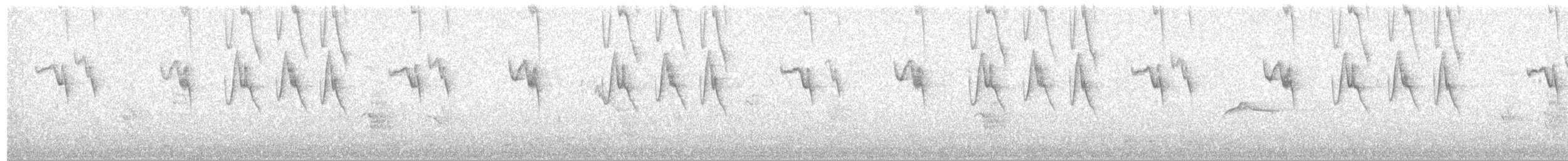 Серобрюхий колибри-отшельник - ML514160451