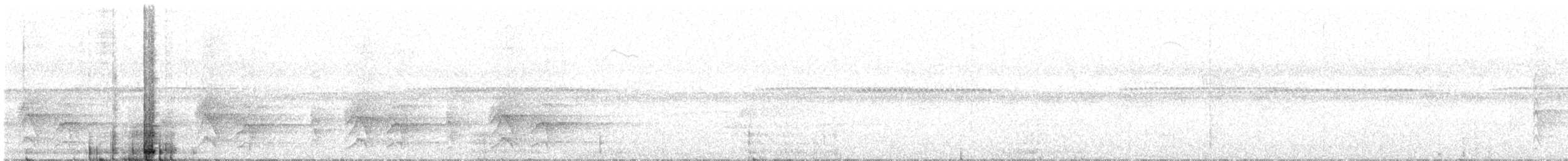 インドカンムリアマツバメ - ML514161751