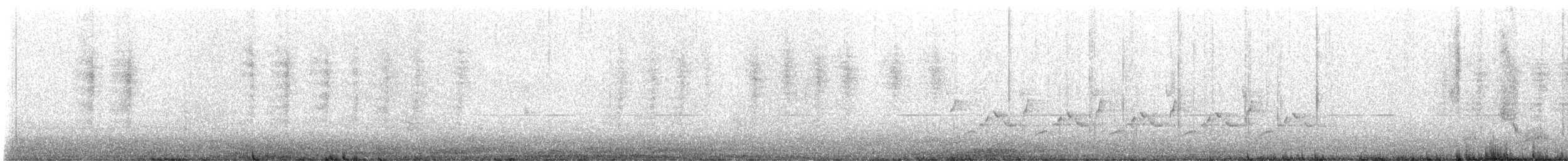 Troglodytidae, unbestimmt - ML514163911