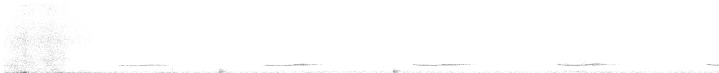 Тихоокеанский коэль (cyanocephalus/subcyanocephalus) - ML514177381