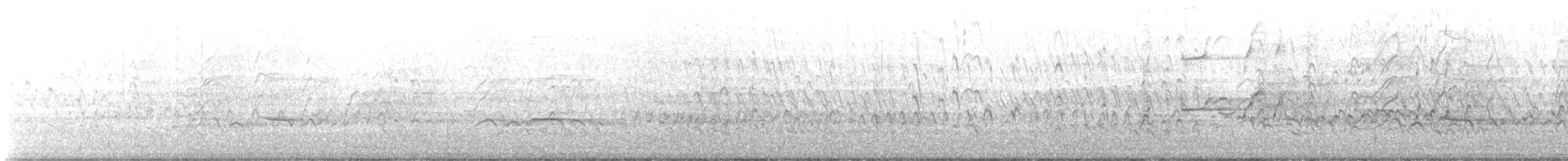 Black-bellied Whistling-Duck - ML514209251