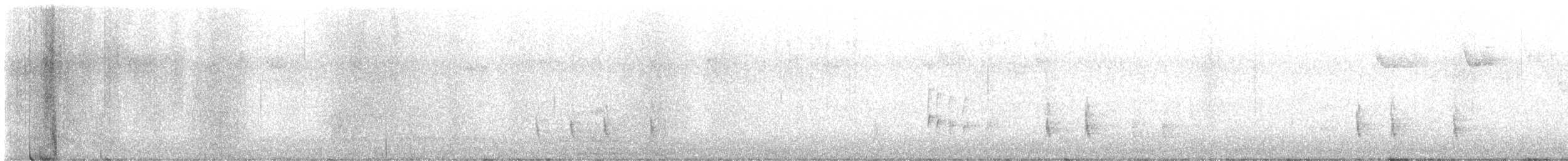 Münzevi Bülbül Ardıcı - ML514240411