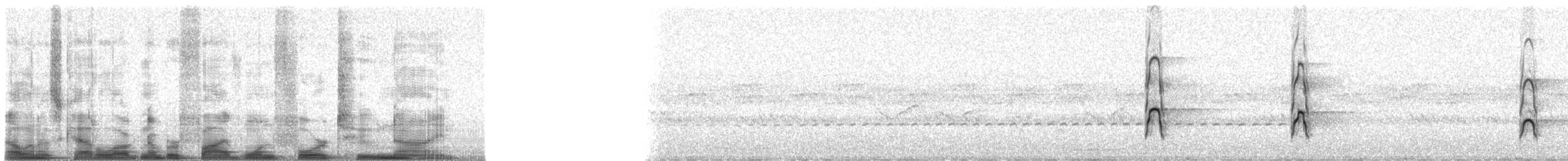 Turuncu Gagalı Boynuzgaga - ML51429