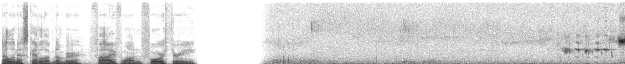 Picchion cramoisi - ML5143