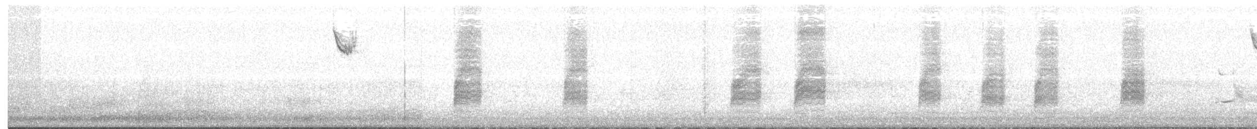 Northern Shrike - ML51431891