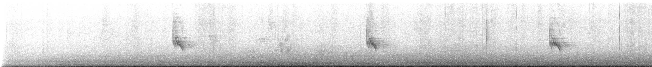 Чернітка білокрила - ML514364251