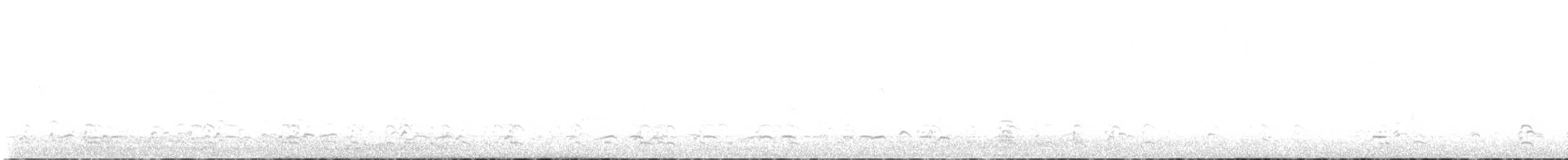 Малая канадская казарка (minima) - ML514446091