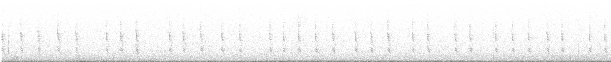 Troglodyte de Baird ou T. des forêts - ML514449231