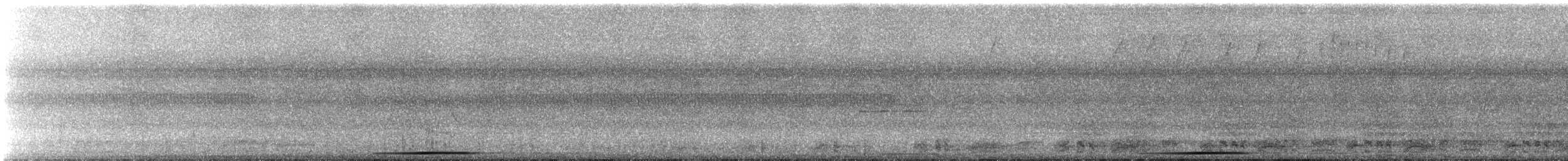 holub šedočelý - ML514463021