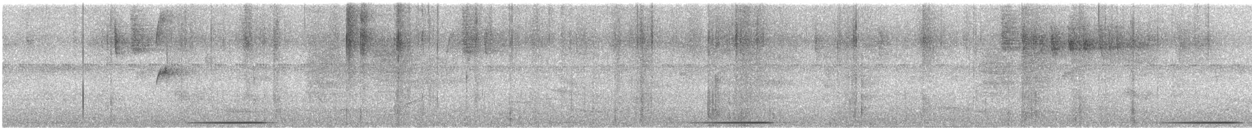 holub bledoprsý - ML514470341