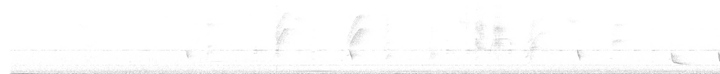 Long-billed Wren - ML514524541